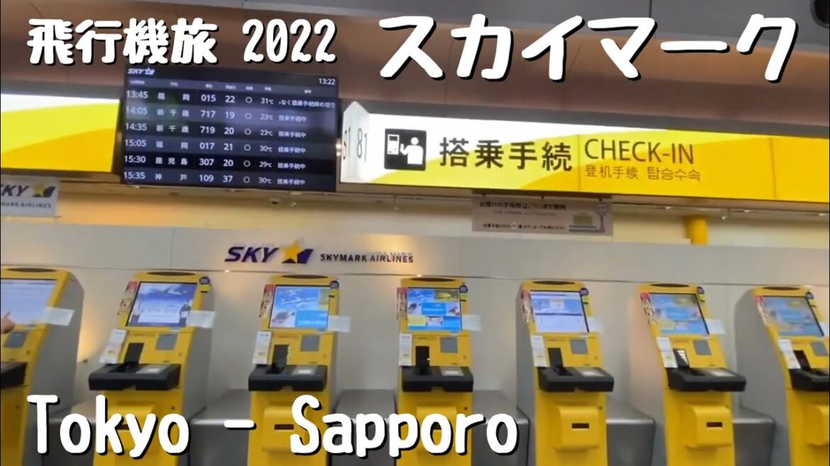 【飛行機旅・羽田空港】羽田空港第１ターミナルよりSKYスカイマーク【動画切り抜き】