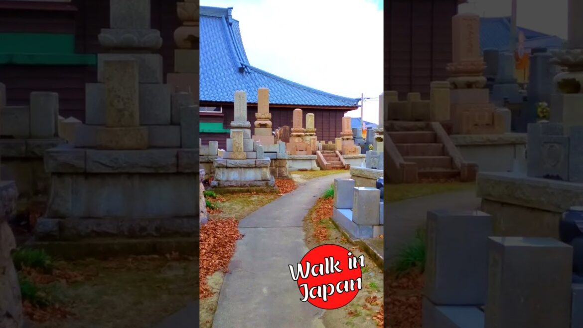 Japanese Temple Path
