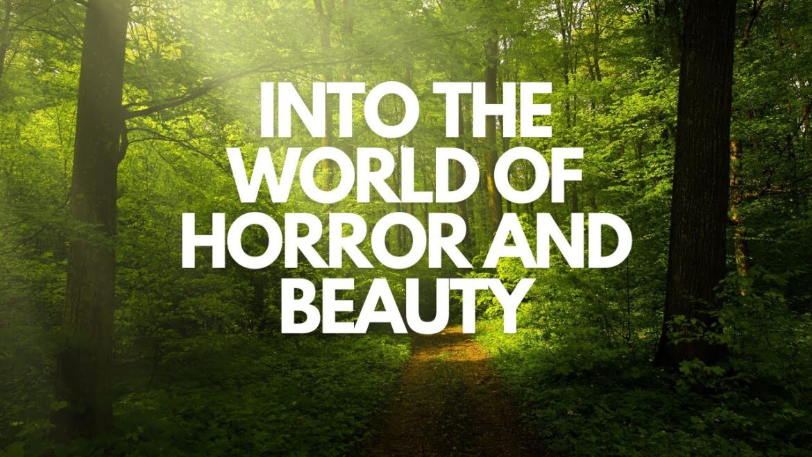 A Mysterious Forest In Japan