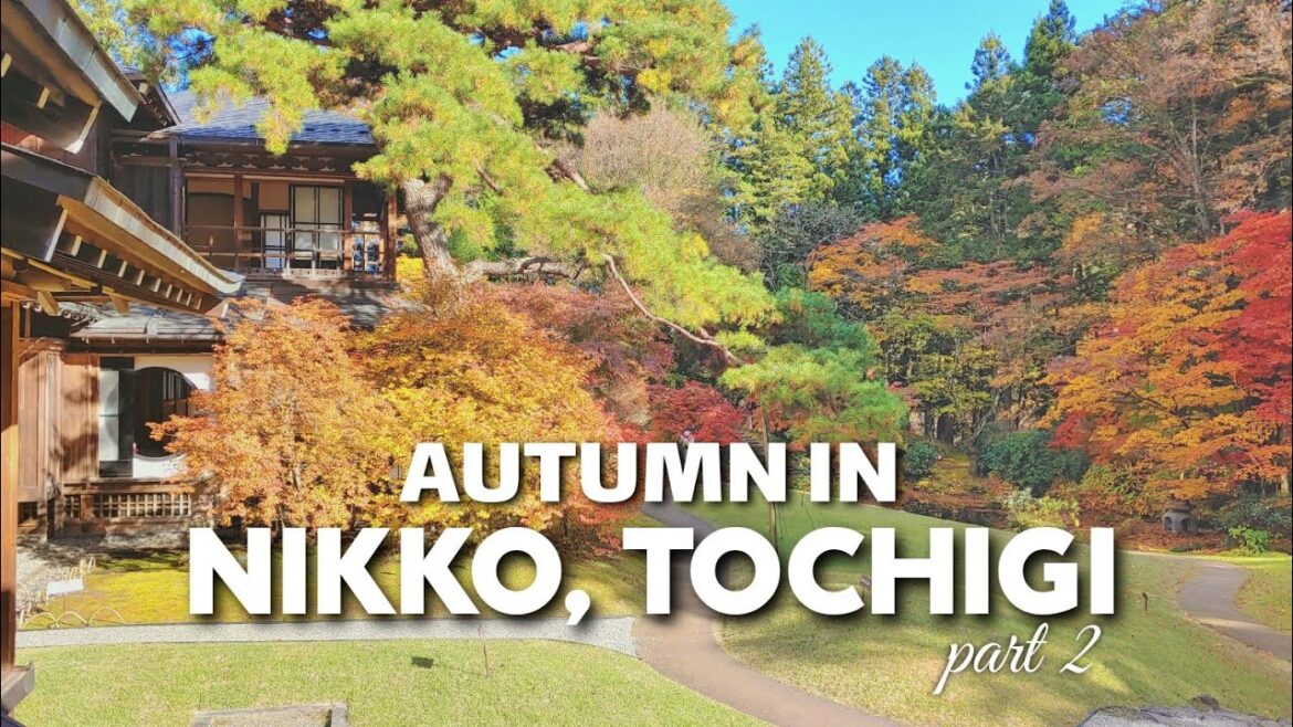 Autumn at Nikko Tamozawa Imperial Villa | Nikko Part 2