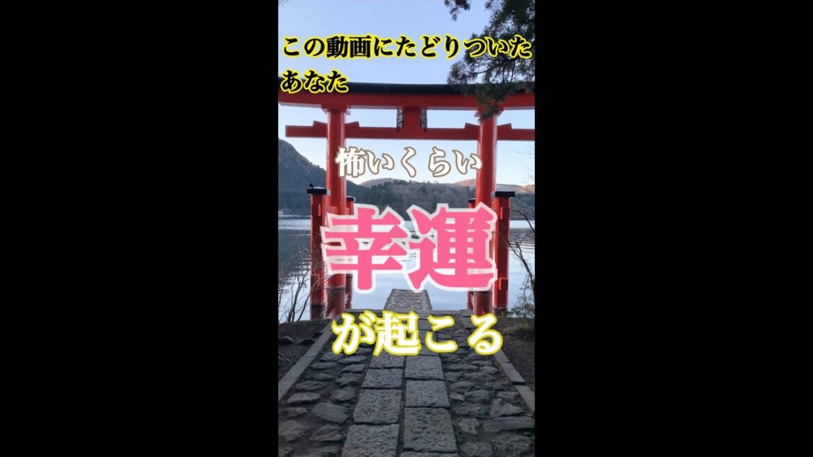 この動画に辿り着いた時「大吉兆」の前ぶれ｜世界でも有数のパワースポット最強神社【箱根神社】湖畔の鳥居　#shorts