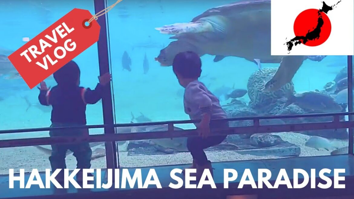 Hakkeijima Sea Paradise Part 2/2 | Yokohama Travel Vlog in Japan 2016 🇯🇵 Hakkeijima Sea Paradise Part 2/2 | Yokohama Travel Vlog in Japan 2016 🇯🇵
