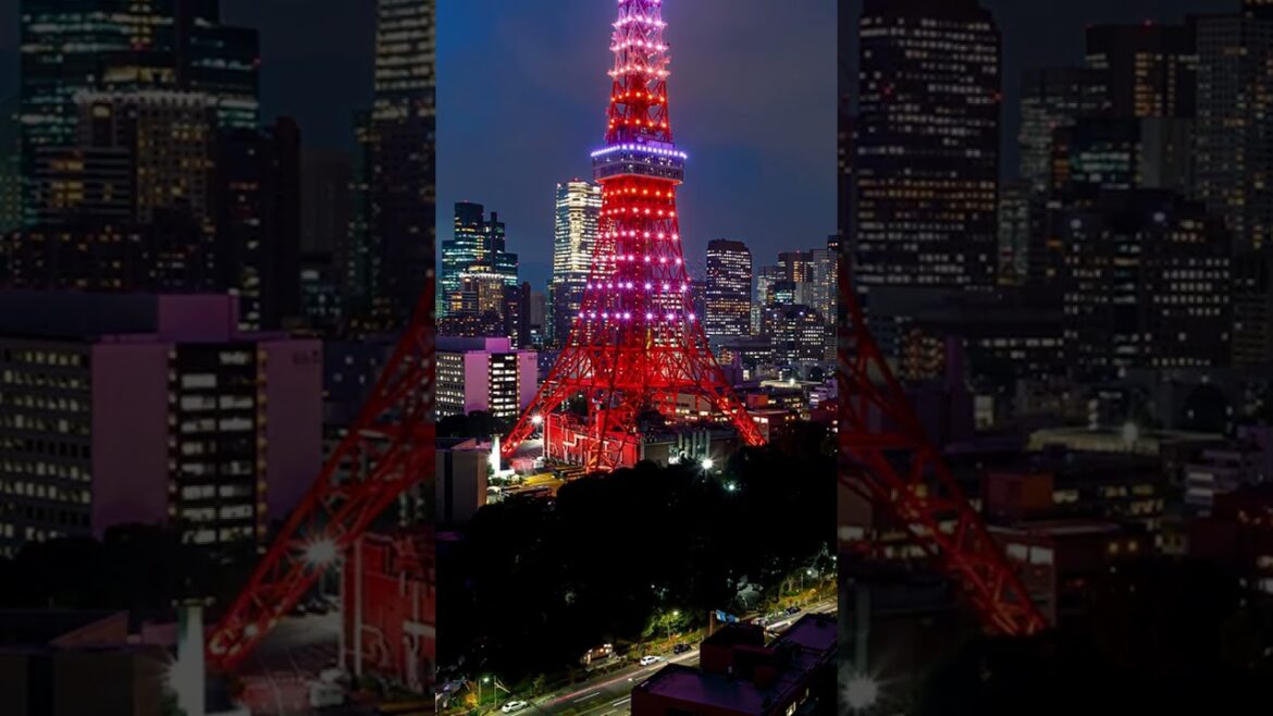 Tokyo Travel Tips - Tokyo Tower Travel Guide #shorts