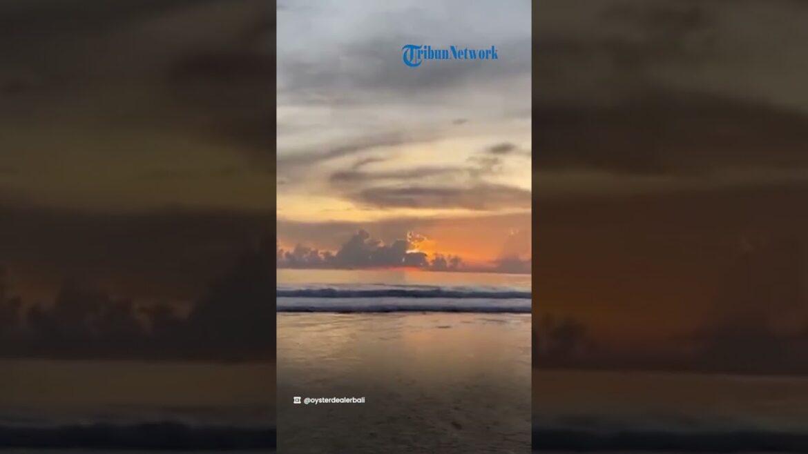 Tempat Kuliner OD Beach Haus di Bali, Tawarkan Berbagai Menu Seafood Segar Khas Oyster Dealer