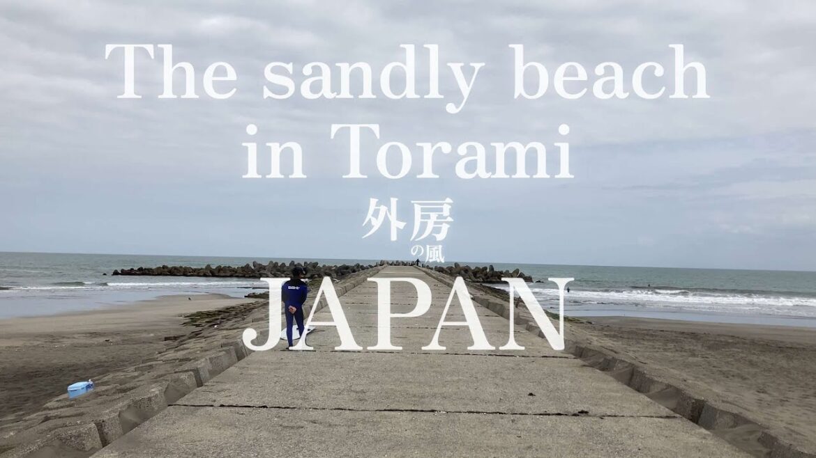 【3分フィルム】3月の静かな東浪見海岸を探索