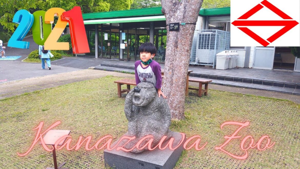 A Wild Adventure at Kanazawa Zoo: Yokohama Travel Vlog π―π΅ A Wild Adventure at Kanazawa Zoo: Yokohama Travel Vlog π―π΅