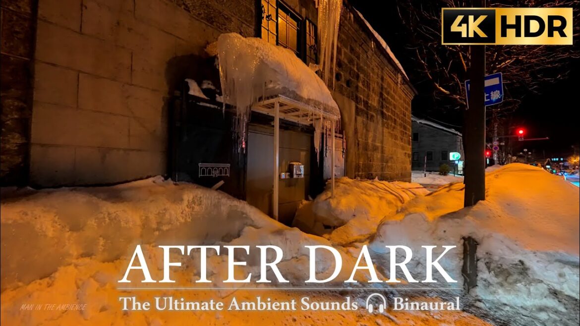 Northern Japan After Dark ❄ walking tour in Otaru Canal, Hokkaido //4K HDR