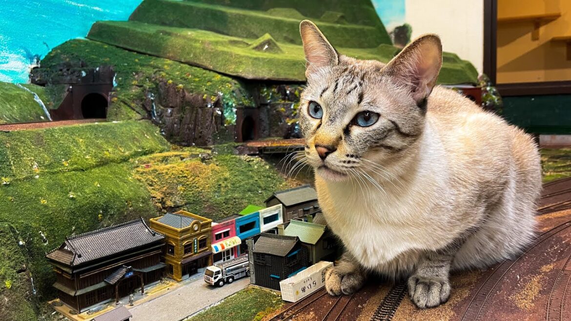 Cat Godzilla！Diorama Restaurant Cat Cafes Visiting Popular Around the World in Japan