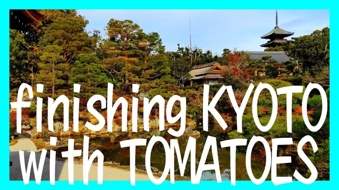 Kyoto travel guide (Kozan-ji temple, Ninna-ji temple, Nijo-jo castle) 2021 Autumn - 4