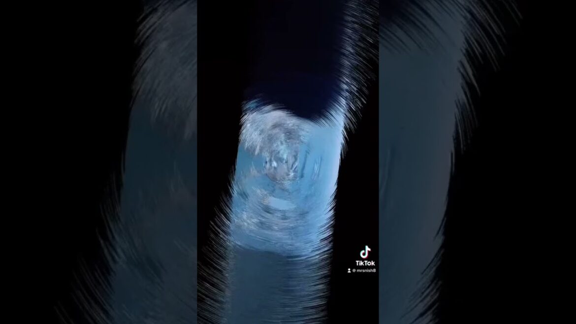 What a lovely hotel🥵 #japan #yokohama #date #dateideas #shorts