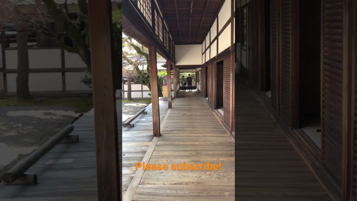 【KYOTO Japan】please check my channel #kyoto #shorts #japan #travel #temple