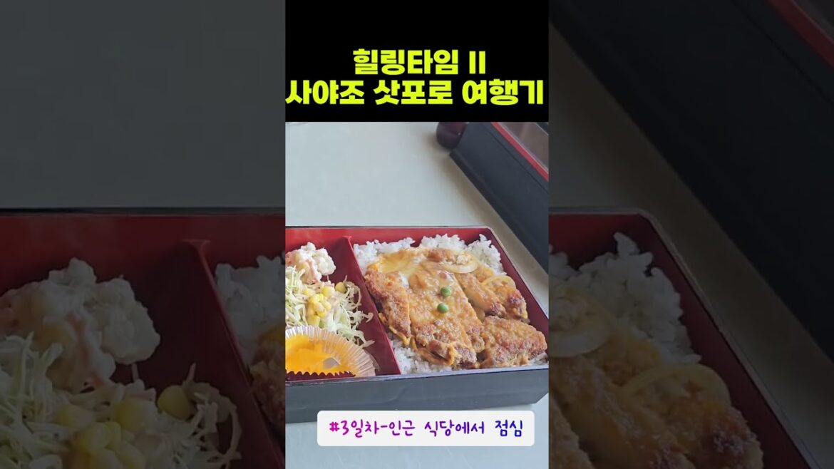 1분만에 보는 삿포로 여행기 II  (하코다테→노보리베츠→삿포로→귀국)   #Shorts