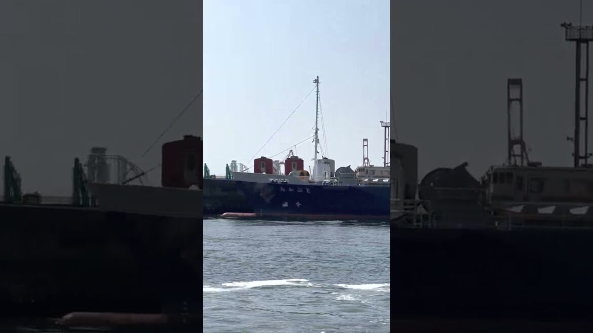 名古屋港に留置されているこの列車は何だろう？どこかに輸出されるのかな？