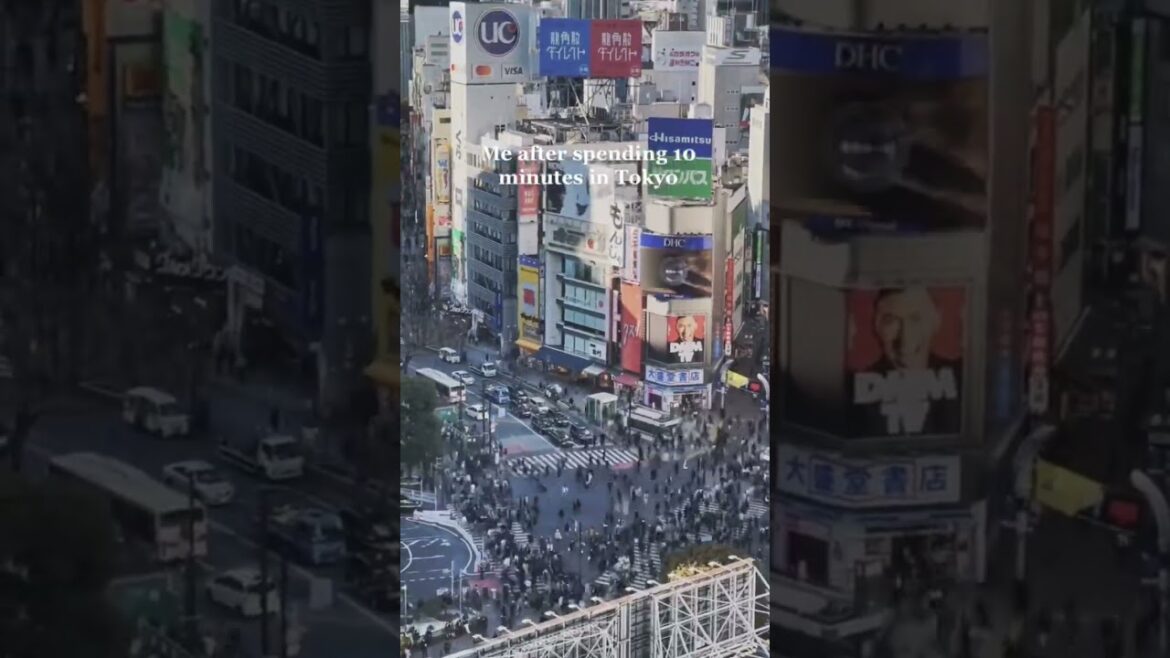 Travel to Tokyo japan