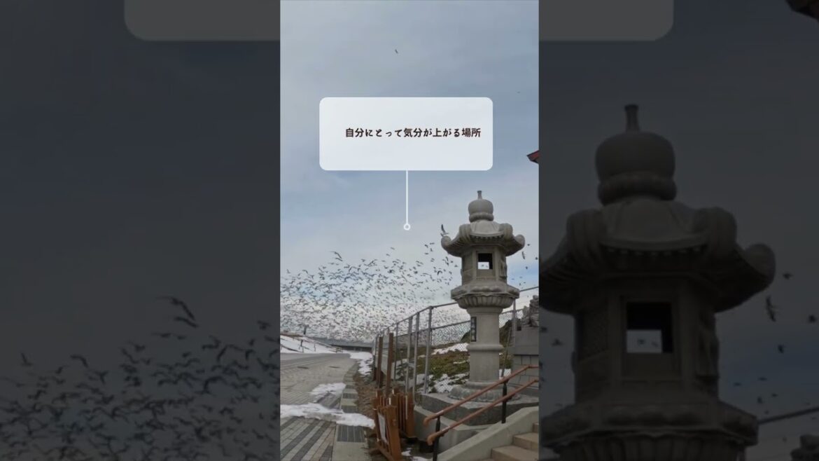 【心地よい旅】楽しさ爆上がり！で、金運も爆上がり！？｜青森 八戸　蕪嶋神社｜kabushima-jinja Aomori Japan