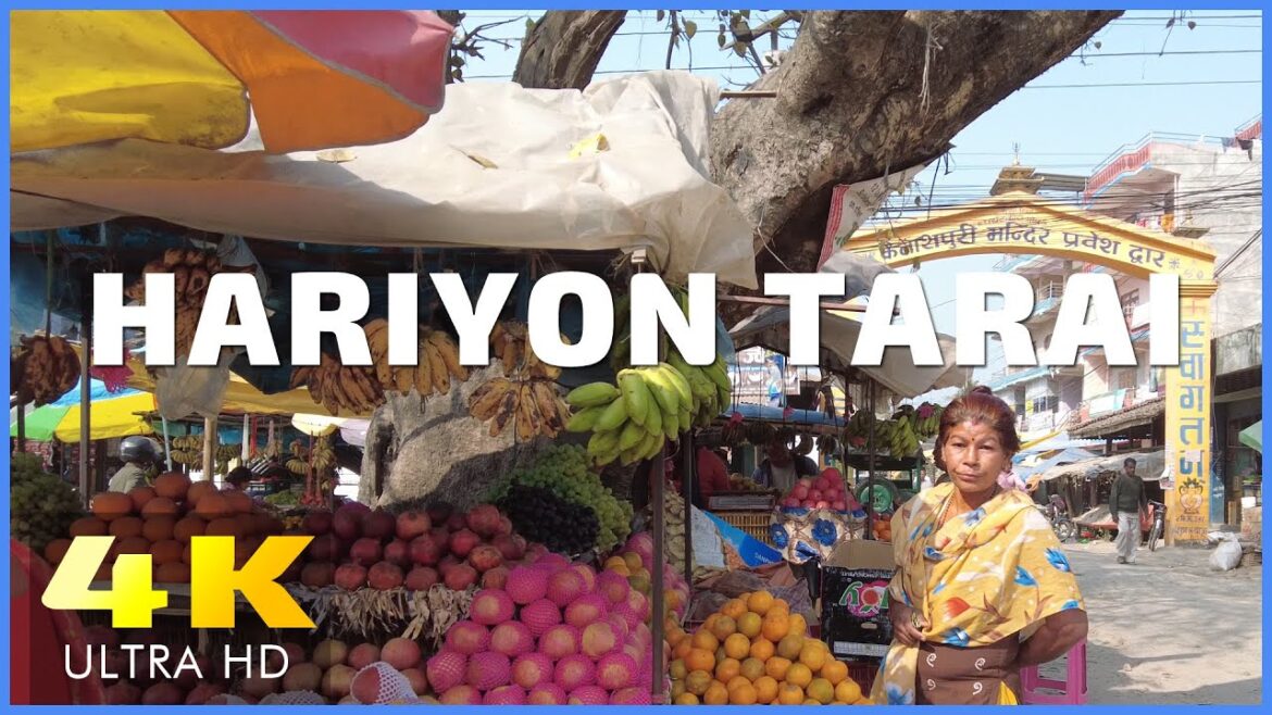 NEPAL WALKING TOUR, HARIYON BAZAAR, STREET MARKET IN SOUTHERN NEPAL, TERAI REGEION, 4K