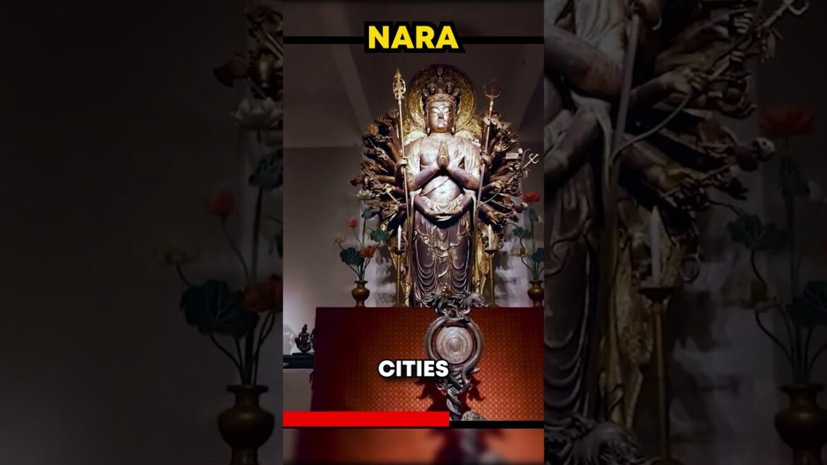 Best in Japan - Nara