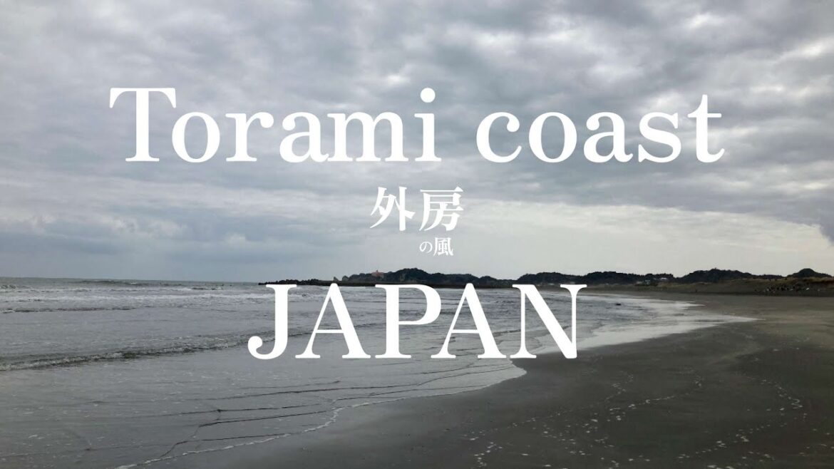 【3分フィルム】３月の静かに賑わう東浪見海岸