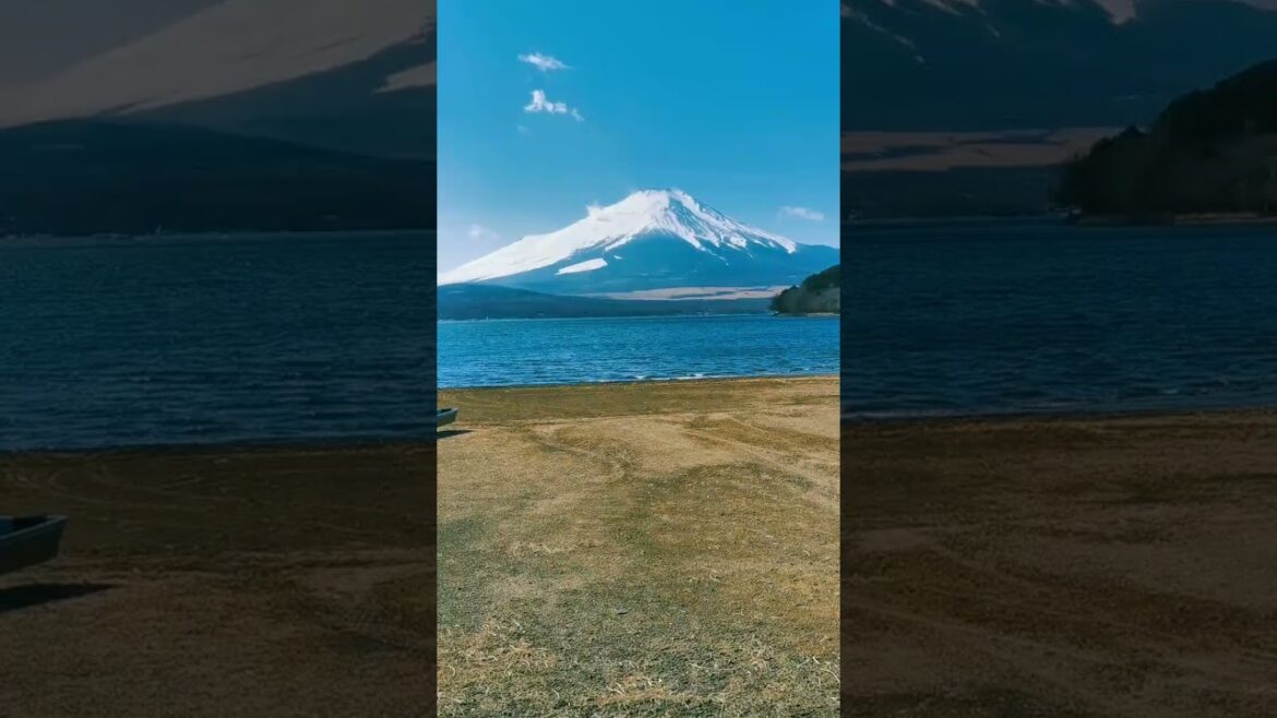 Which one is your favorite ? 🌸 #japan #short #shorts #travel #vacation #explore #shortsfeed