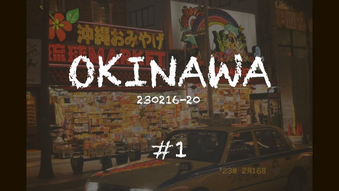 2023 오키나와 다이빙 투어 #1