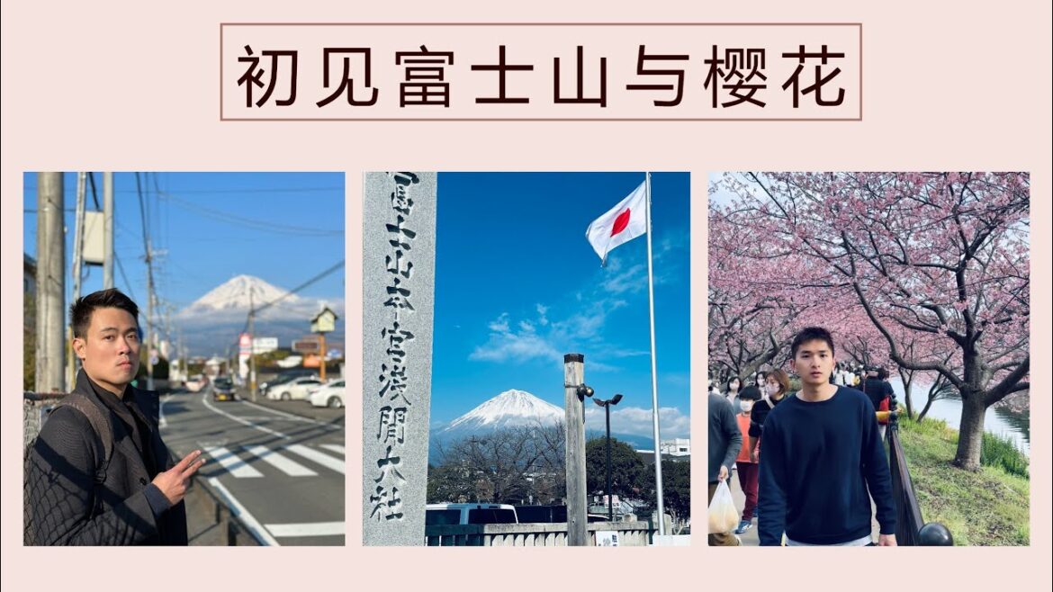 终于在日本看到富士山和樱花啦 Mount Fuji and cherry blossoms in Japan | 富士宫与河津町 | 旅居日本 Life in Japan EP 3 终于在日本看到富士山和樱花啦 Mount Fuji and cherry blossoms in Japan | 富士宫与河津町 | 旅居日本 Life in Japan EP 3