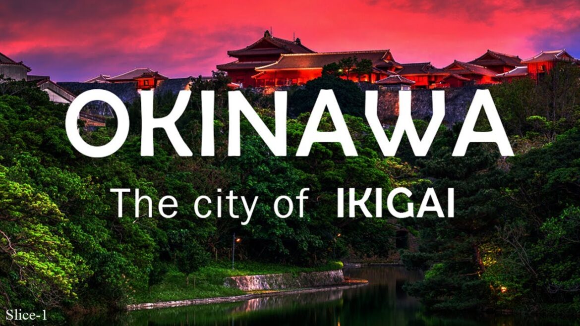 Okinawa | The city of IKIGAI | Slice - 1