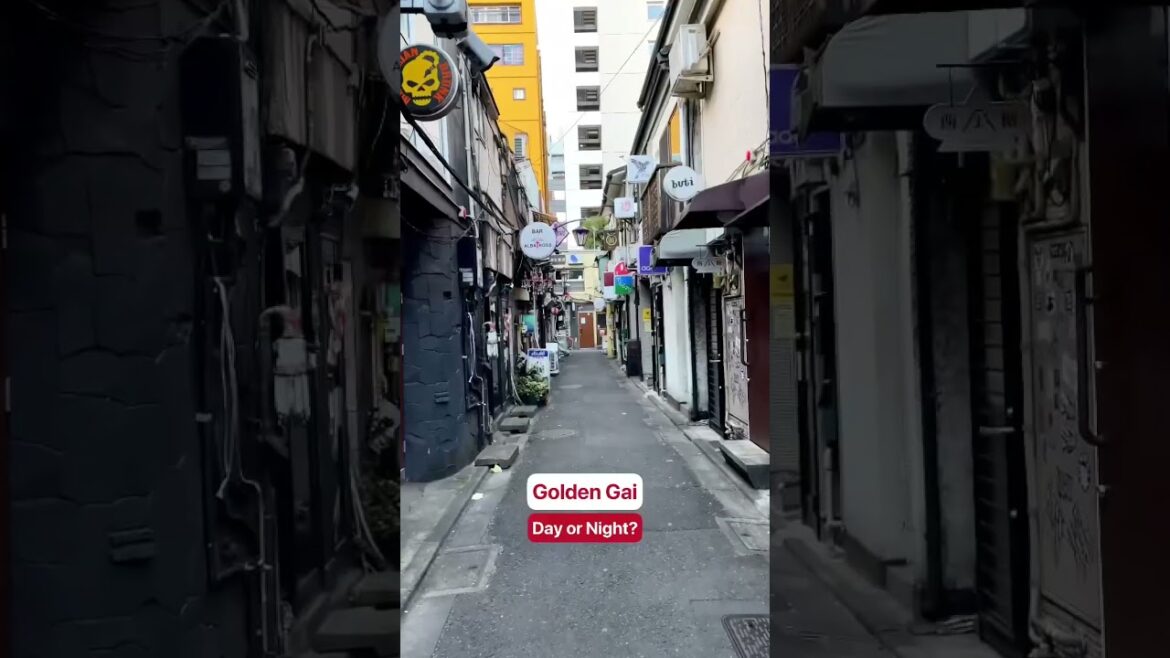 🍺Visit the iconic Golden Gai in Shinjuku day or night! 🍺Visit the iconic Golden Gai in Shinjuku day or night!