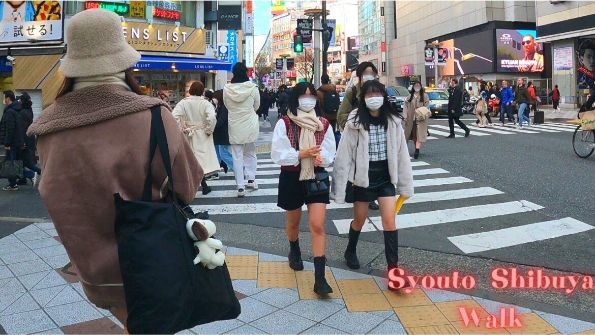 Shoto, Shibuya, Tokyo walking tour. 【4K】12.2022