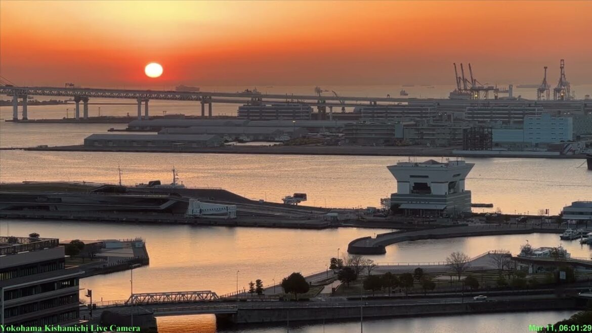 🔴Live Cam Yokohama Japan /横浜汽車道ライブカメラ 大さん橋 :11 Mar 2023 🔴Live Cam Yokohama Japan /横浜汽車道ライブカメラ 大さん橋 :11 Mar 2023