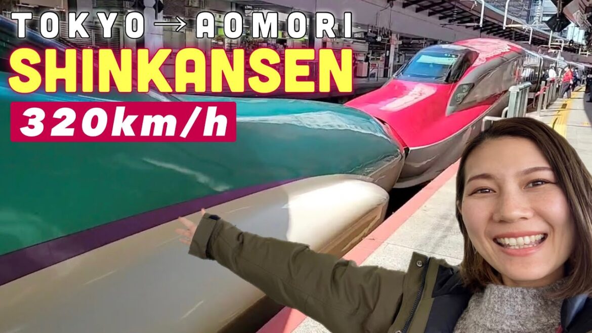 TOHOKU SHINKANSEN (Japanese bullet train) Perfect Guide☆ Japan vlog TOHOKU SHINKANSEN (Japanese bullet train) Perfect Guide☆ Japan vlog