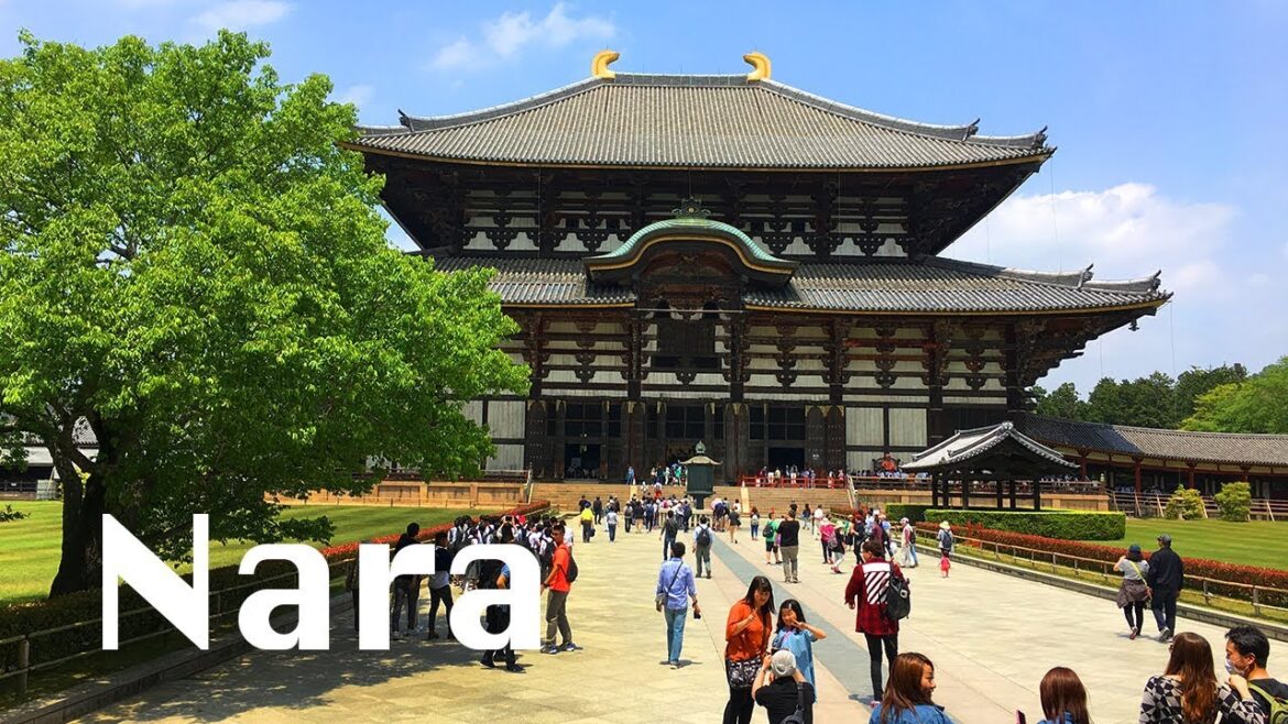 Nara - Deer, Todaiji Temple & Nara Park