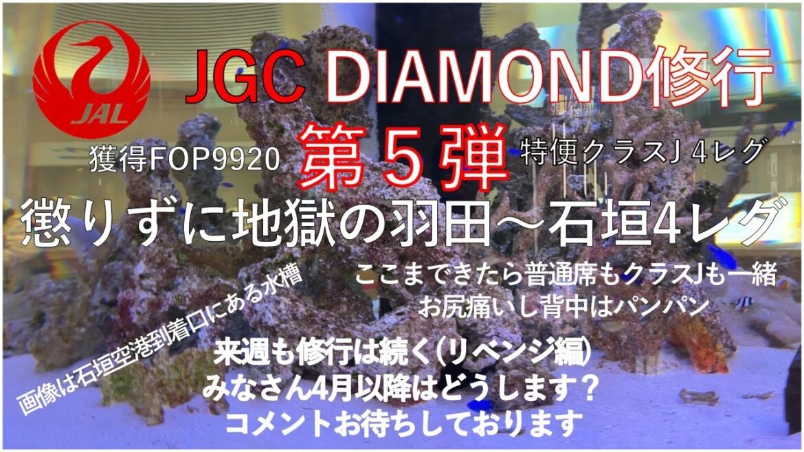 2023JGCDIAMOND修行⑤ 2023JGCDIAMOND修行⑤