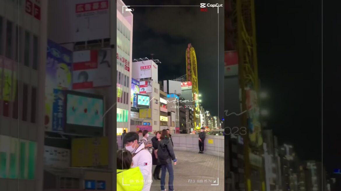 Travel in Japan 🇯🇵🥰 #japan #japantravel #kyoto #travel #flowers #bambooforest #osaka #arashiyama