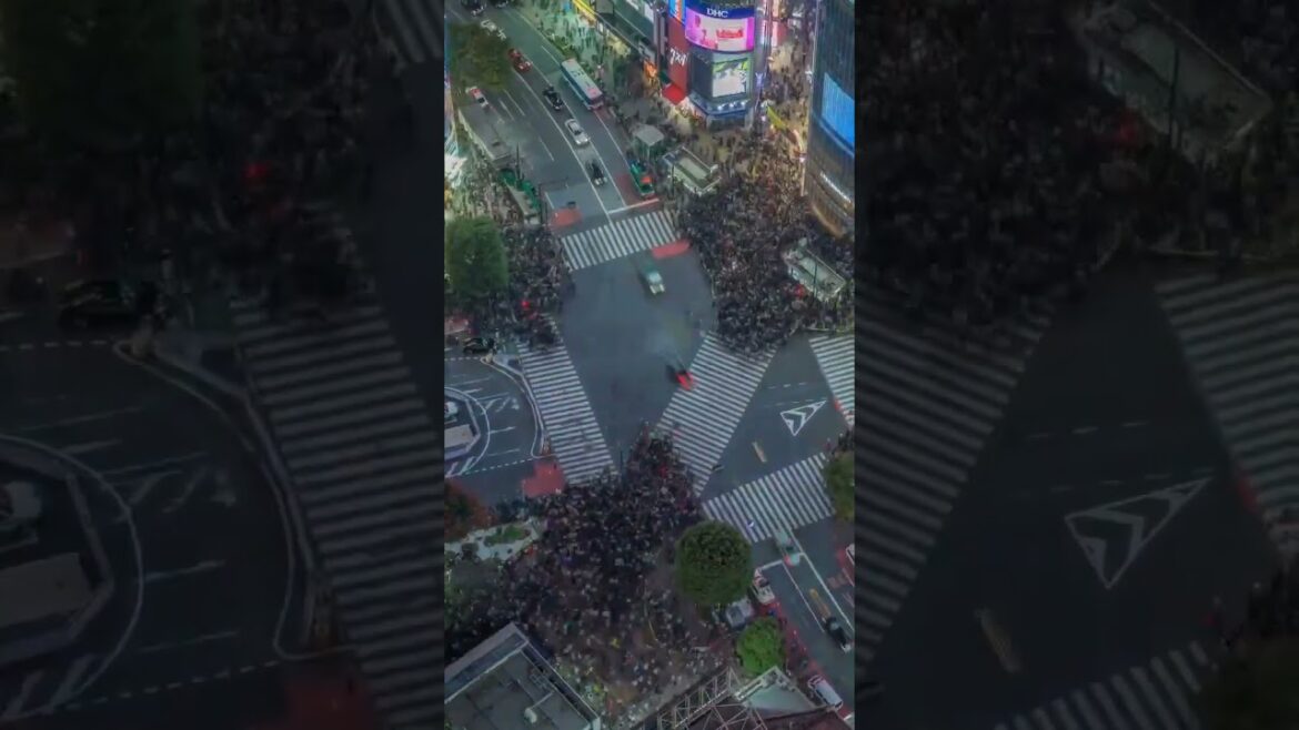 Good morning from Sihibuya ⛩️📍Sihibuya, Tokyo, Japan 🇯🇵📸 Masaki Hani#sihibuya #tokyo #japan #morning