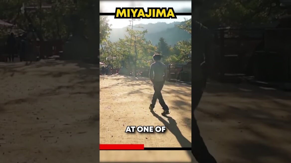 Best in Japan - Miyajima