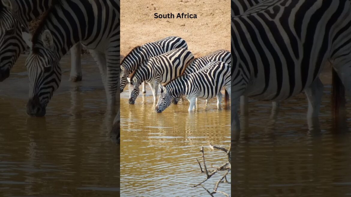 10 Best Places to Visit in April #shorts #bestplacestovisit #bestplaces