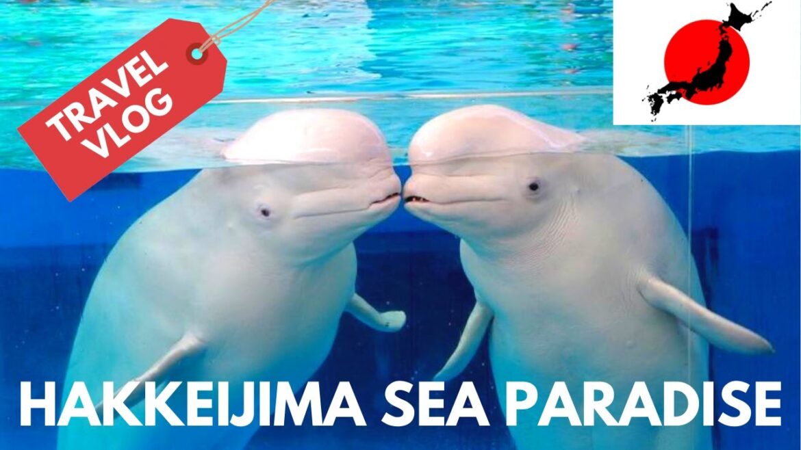 Exploring Hakkeijima Sea Paradise in Yokohama, Japan | Travel Vlog 2016 🇯🇵 Part 1/2 Exploring Hakkeijima Sea Paradise in Yokohama, Japan | Travel Vlog 2016 🇯🇵 Part 1/2