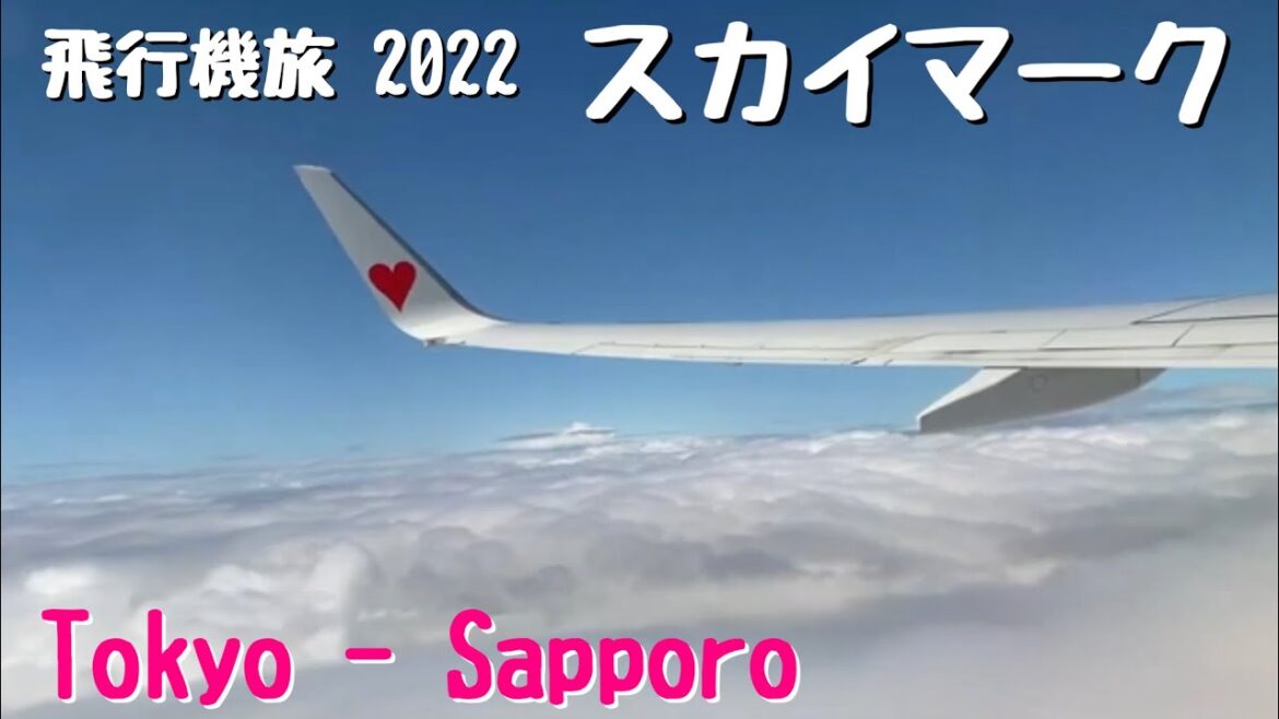【飛行機旅】羽田空港発 SKYスカイマーク 新千歳空港行【動画切り抜き】 【飛行機旅】羽田空港発 SKYスカイマーク 新千歳空港行【動画切り抜き】