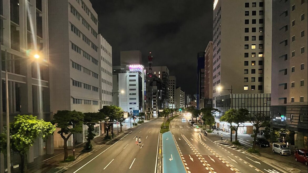【VR】2023/02/04/Japan/Okinawa/Kokusai-dori6