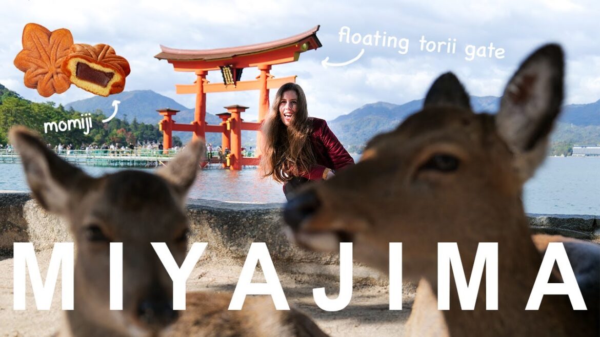 We Fell in LOVE with this Japanese Island 💖🍁| Miyajima Vlog (& a brief stop in Osaka)
