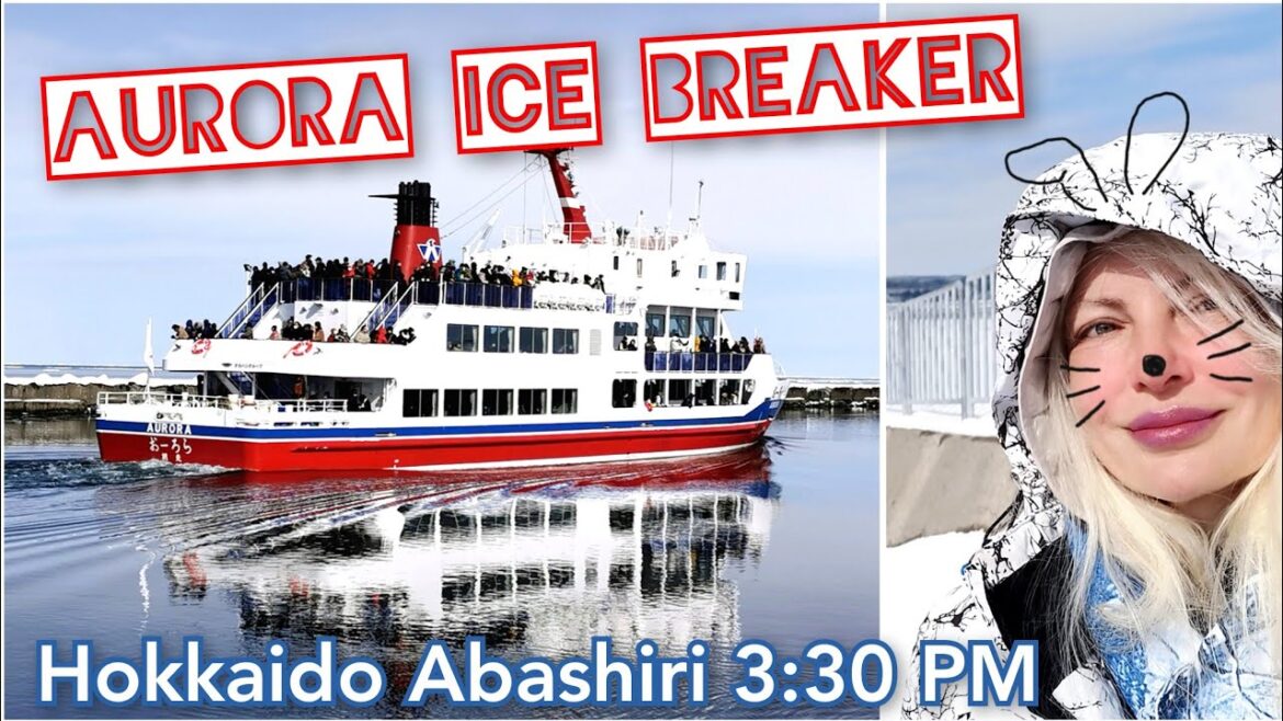 🌞 Afternoon DRIFT ICE ABASHIRI AURORA ICE BREAKER 🚢 3:30 PM Tour February 2023 by Adeyto