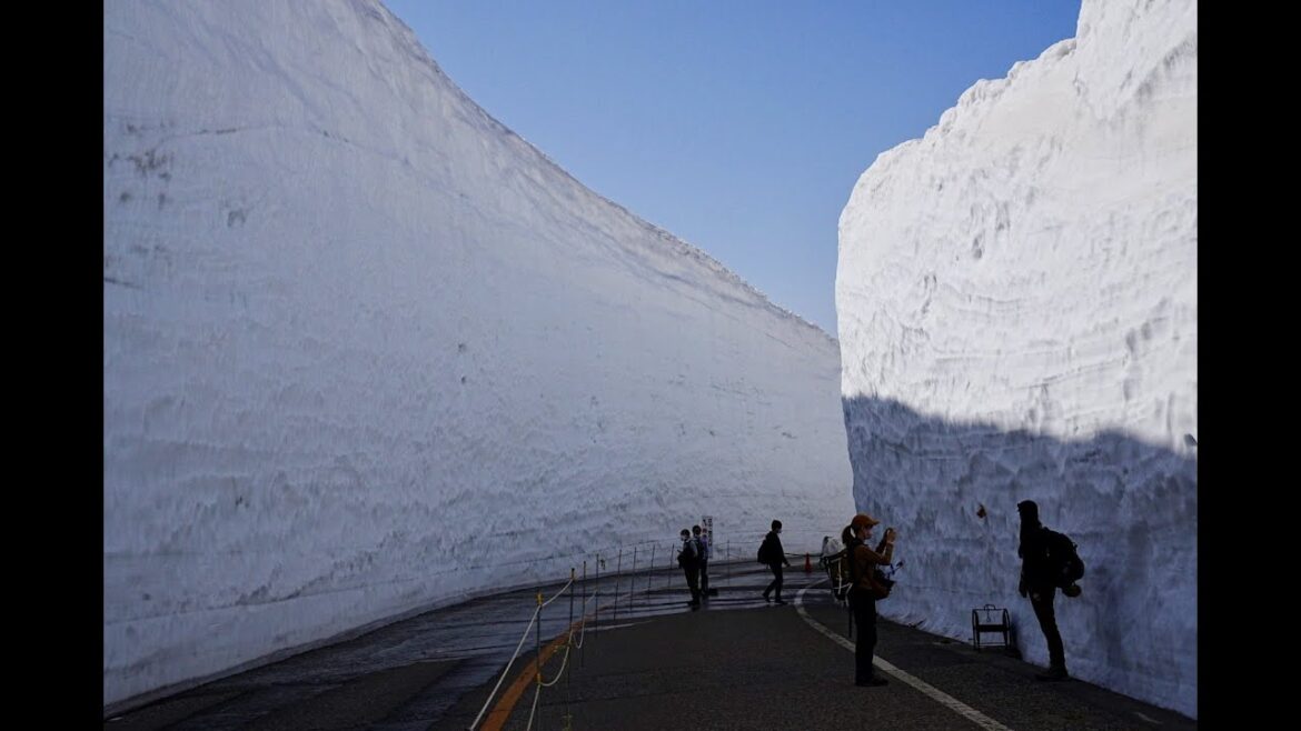 【立山黒部アルペンルート】　雪の大谷バーチャルツアー tateyama kurobe alpine route/Snow wall Japan  360 VR 4K