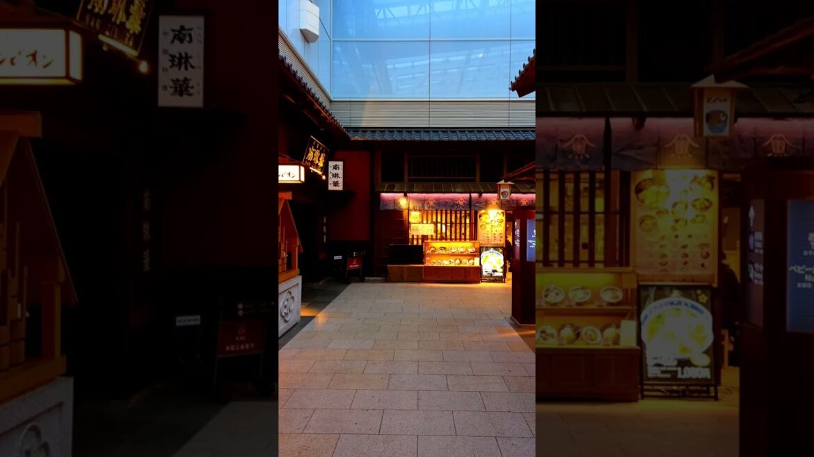 Edo period style restaurant – The most beautiful Haneda Airport in the world #shorts Part 8 Edo period style restaurant - The most beautiful Haneda Airport in the world #shorts Part 8