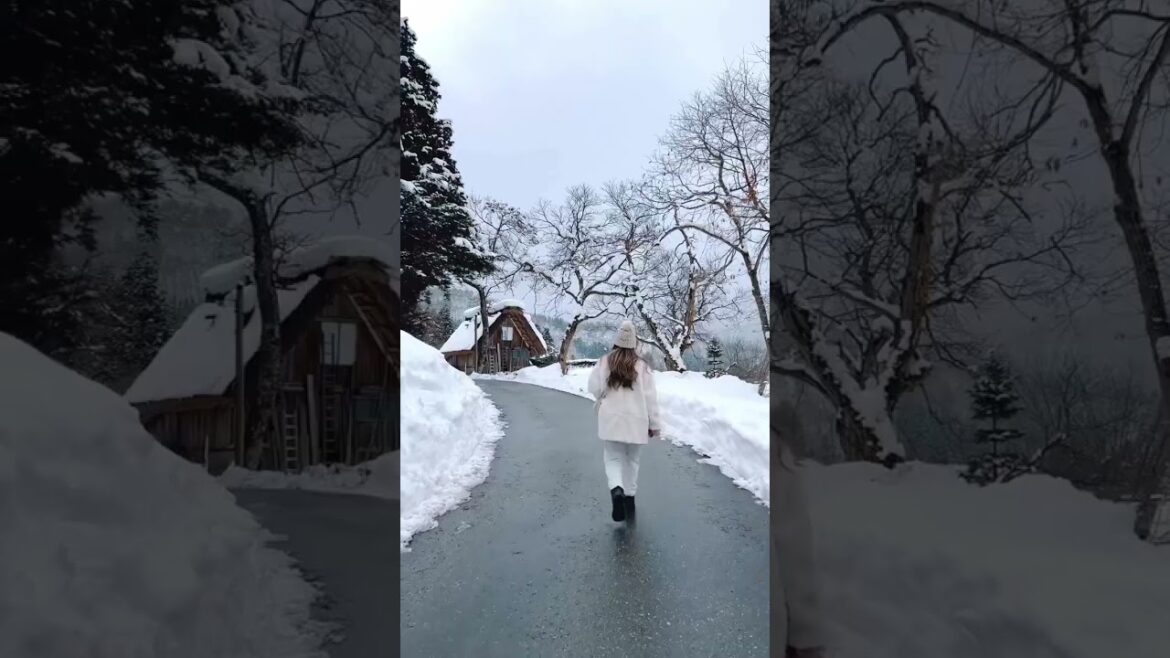 #short #japan #japanese #shorts #travel #vacation #explore #globetrotter #monde #voyage #short #japan #japanese #shorts #travel #vacation #explore #globetrotter #monde #voyage