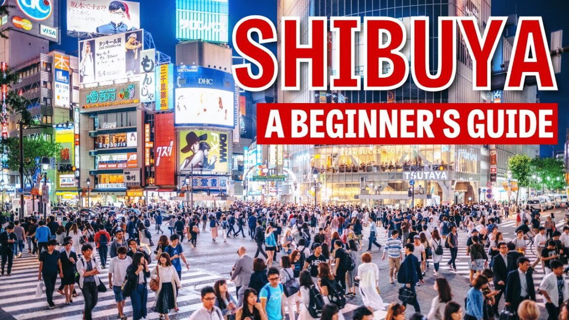 A Beginner's Guide To Shibuya