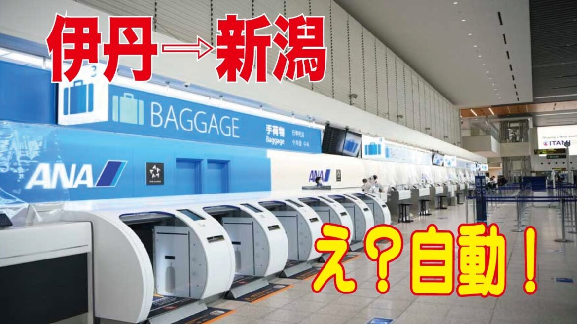 【ANA】伊丹空港⇨ 新潟空港 飛行機速いな!!! 【ANA】伊丹空港⇨ 新潟空港 飛行機速いな!!!