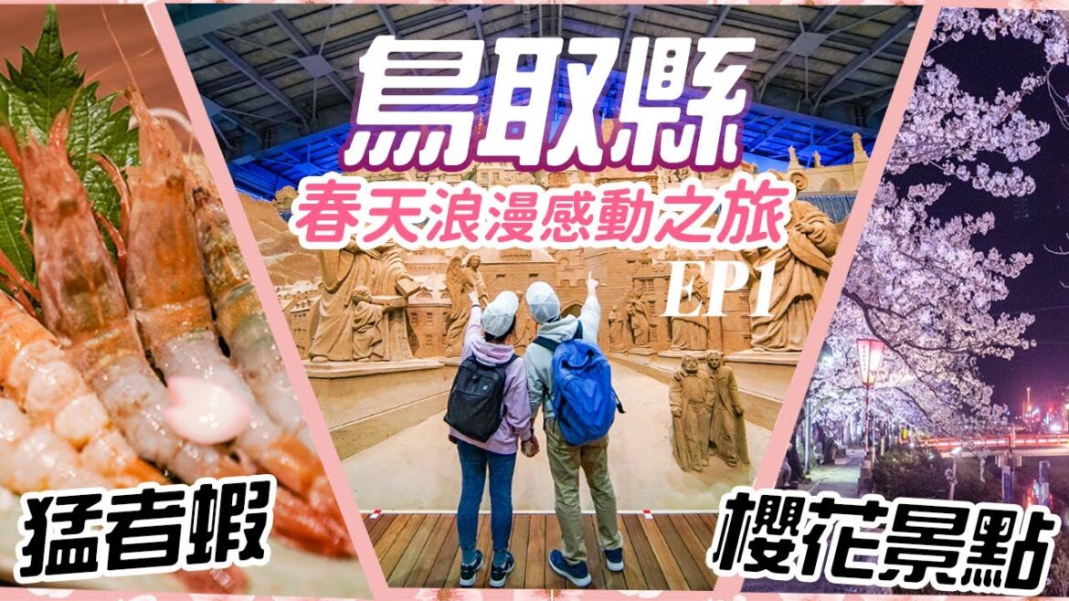 鳥取縣春天浪漫感動之旅 EP1🌸漫遊鳥取市櫻花美景! 超強結緣能量的白兔神社🐰不只鳥取砂丘啊💖 #日本 #日本旅遊 #日本自由行