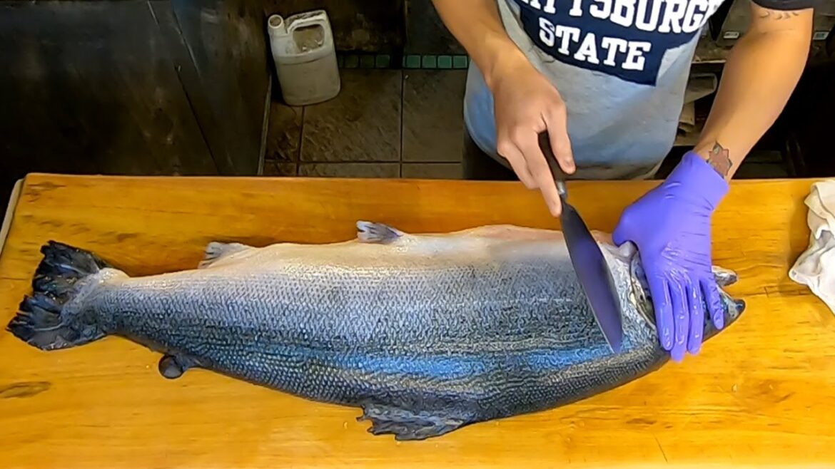 How To Fillet a Whole Big Salmon - How To Make Salmon Sashimi and Sushi -鮭魚切割技能-生魚片及壽司!