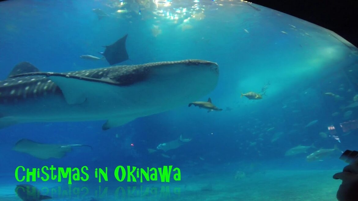 chistmas in okinawa