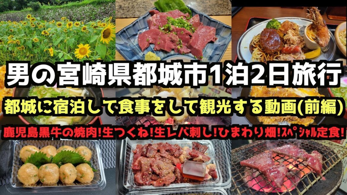 【宮崎グルメ旅行】男の宮崎県都城市1泊2日グルメ旅行(前編) #都城市 #宮崎旅行 #生つくね #坂元棚田 【宮崎グルメ旅行】男の宮崎県都城市1泊2日グルメ旅行(前編) #都城市 #宮崎旅行 #生つくね #坂元棚田